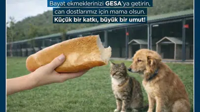 Çöpe giden her lokma bir cana umut oluyor: Germencik’te gıda israfına karşı örnek proje