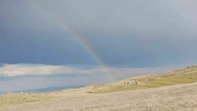 Bitlis'te şaşırtan doğa olayı: Gökyüzünde yağmur yok ama gökkuşağı var