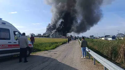 Manavgat’ta korku dolu anlar: Patates fabrikası alevlere teslim oldu