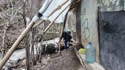 Doğa ile çaresiz mücadele: Evini korumak için çalı çırpıdan barikat kurdu