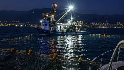 Gemlik Körfezi’nde sezon bereketi: Balıkçılar ağlarını attı, denizciler için kritik uyarı geldi