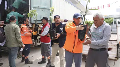 Mersin’de avokado bereketi: 500 dönümlük alan yeşile büründü