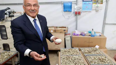 Ordu’da tarım ve hayvancılık devrimi: Başkan Güler’den "göçü tersine çevirecek" yeni hamle