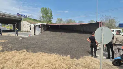 Trafiği ayçiçeği tarlasına çevirdi: Tonlarca ürün yola saçıldı, ulaşım felç oldu