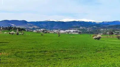 Gediz’de doğa rengârenk gelinliğini giydi: Baharın gelişiyle yeryüzü yeniden hayat buldu