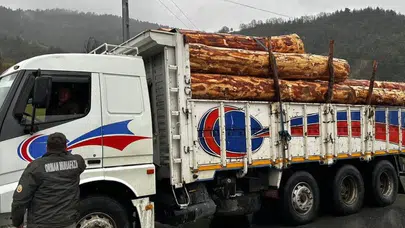 Sinop’ta orman kaçakçılığına geçit yok: 183 noktada sıkı takip