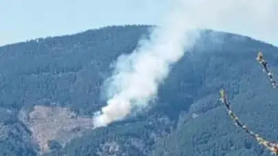 Nazilli'de ormanlık alanda korkutan dumanlar: Ekipler alevlere karşı teyakkuzda