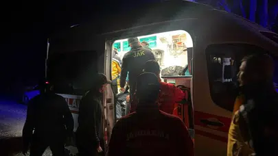 Kocaeli'den yola çıkmıştı: Günlerdir aranan M.K. Bolu ormanlarında sağ bulundu