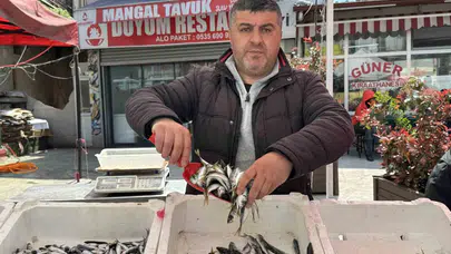 Denizlerde büyük avcılık bitti, tezgahlarda yeni dönem başladı: Kıyı balıkçılarının mesaisi yüzleri güldürüyor
