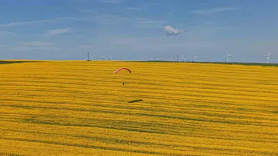 Gökyüzünde sarı yolculuk: Tekirdağ’ın kanola tarlaları üzerinde büyüleyici şölen