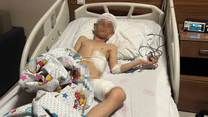 Van’da köpek dehşeti: Bir canı kurtarmanın sevincini yaşayamadan diğerinin acısıyla yıkıldılar