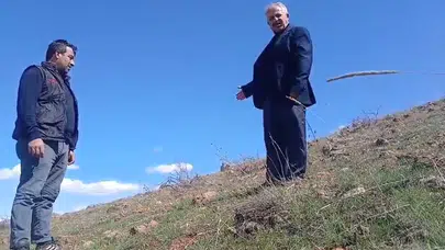 Güzelliğiyle büyülüyor ama dokunana ağır fatura çıkarıyor: Ağlayan gelinlerin bedeli 700 bin TL