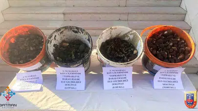 Doğanın dengesini bozanlara ağır fatura: 35 kilo salep soğanı toplamanın bedeli servet değerinde oldu