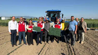Toprağın bereketi Manisa’da yeniden hayat buldu: 131 bin dekarlık alanda domates mesaisi başladı