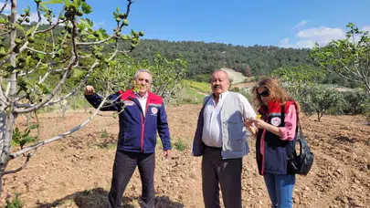 İncir üreticisinin gözü sahada: Buharkent’te kritik sezon mesaisi başladı