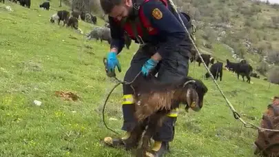 Ölümden döndü: Kuyuya düşen keçiyi itfaiye ekipleri son anda kurtardı