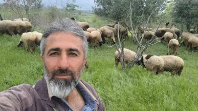 Büyükbaş hayvancılığı bıraktılar, genetik mucizeyle küçükbaşta rekor kırdılar: 43 koyundan 112 kuzu aldılar