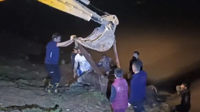 Dicle Nehri’ne düşen ineği itfaiye iş makinesiyle kurtardı