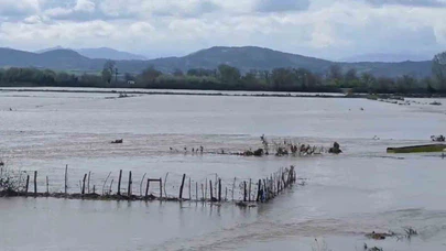 Meriç Nehri taştı, sular yollara ulaştı
