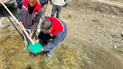 Düzce’nin sularına can suyu: 50 bin kırmızı benekli alabalık doğaya salındı