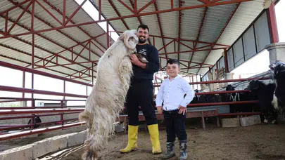 Elazığ’da pazarın gözdesi oldu: 1.90’lık yetiştiriciyi gölgede bırakan dev kurbanlık