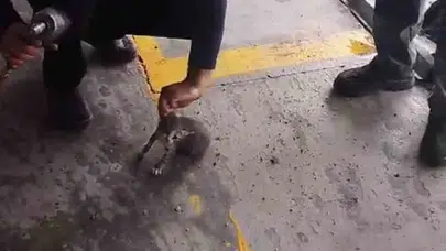 Motor kaputundan gelen ses yürekleri ağza getirdi: Minik misafir ustaların yardımıyla kurtarıldı