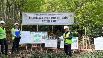 Geleceğin ormanları Yenice’de şekillendi: Uzmanlar sahaya indi, teknik detaylar masaya yatırıldı