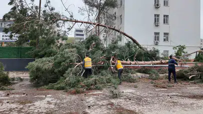 Birecik’te fırtına sonrası seferberlik: Ekipler gece gündüz demeden sahada