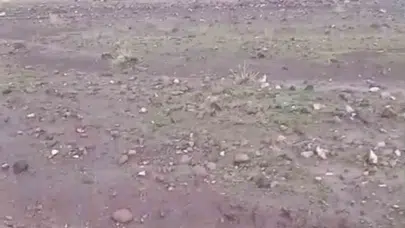 Iğdır'da korku dolu anlar: Sel suları köye ulaştı, hayvanlar son anda kurtarıldı