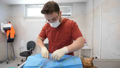 Denizli’de can dostlar için seferberlik: Kısırlaştırmada yüzde 214’lük dev artış