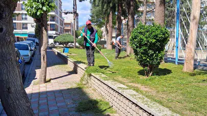 Efeler’de yeşil seferberlik: Mahalleler çiçek gibi açtı