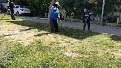 Didim’in çehresi değişiyor: Başkan Gençay’dan yeşil seferberlik talimatı