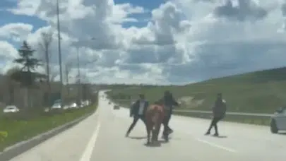 Erzurum’da arefe telaşı yerini kovalamacaya bıraktı: Şehir trafiği kurbanlıkların esiri oldu