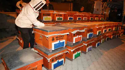 Selçuklu’da arıcıların yüzü gülüyor: 465 kovan üreticiye teslim edildi