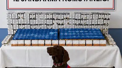 Bolu yolunda kaçak tütün operasyonu: Binlerce makarona el konuldu