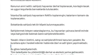 İstanbul sokaklarında yeni dönem: Hedef sahipsiz tek bir köpek bile bırakmamak