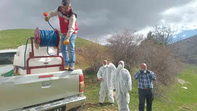 Gümüşhane’de korkutan istila: Köy halkı tedirgin, ekipler seferber oldu