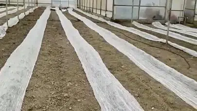 Burdur'da dondurucu soğuk alarmı: Üreticiler çareyi tül örtülerde buldu