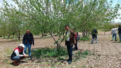 Elazığ’da dolu felaketi: Üreticinin gözü kulağı hasar raporunda