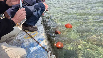 Datça’da çeyrek asırlık gelenek: Akdeniz’in suları Ege’nin maviliğiyle kucaklaşıyor