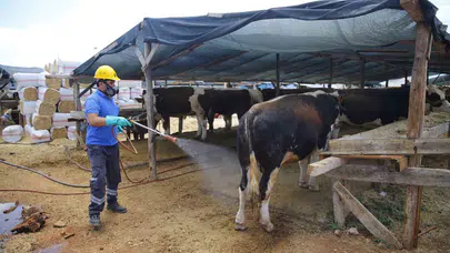Antalya’da bayram hazırlıkları tamam: 6 noktada ücretsiz kesim ve ulaşım müjdesi