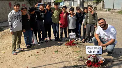Belediyeye ulaşamayan gençler çareyi doğada buldu: Çukurlara çiçek ektiler