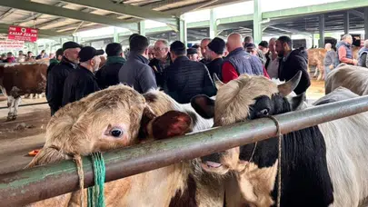 Tavşanlı’da kurbanlık mesaisi başladı: Fiyatlar cep yakıyor, pazarlıklar kıran kırana