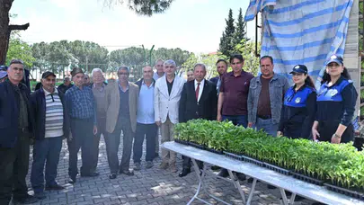 Salihli’de toprak bereketleniyor: Binlerce fide üreticinin yüzünü güldürdü
