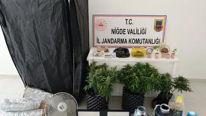 Niğde’de evleri laboratuvara çevirmişler: İklimlendirme düzeneğiyle kenevir üretimine jandarma baskını