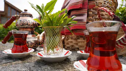 Rize'de çay bardağı simgesi altında hasat şöleni: Sezonun ilk filizleri toplandı