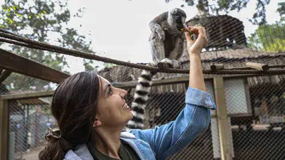 Antalya'nın yeni maskotu Zabumafu: Doğal Yaşam Parkı'nda neşe dolu günler