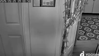 Malatya sallandı, Elazığ sokağa döküldü: 5.6'lık sarsıntı evdeki kameraya böyle yansıdı