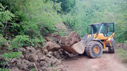 Ordu alarm verdi: Bir günde 214 noktada toprak kaydı