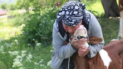 Gürcistan’dan Erzincan’a uzanan bir başarı hikayesi: Köy hayatını seçti, 20 hayvanın annesi oldu